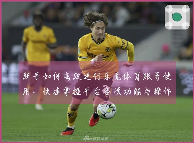 新手如何高效进行乐竞体育账号使用，快速掌握平台各项功能与操作指南